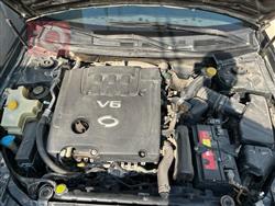 رينو سافران